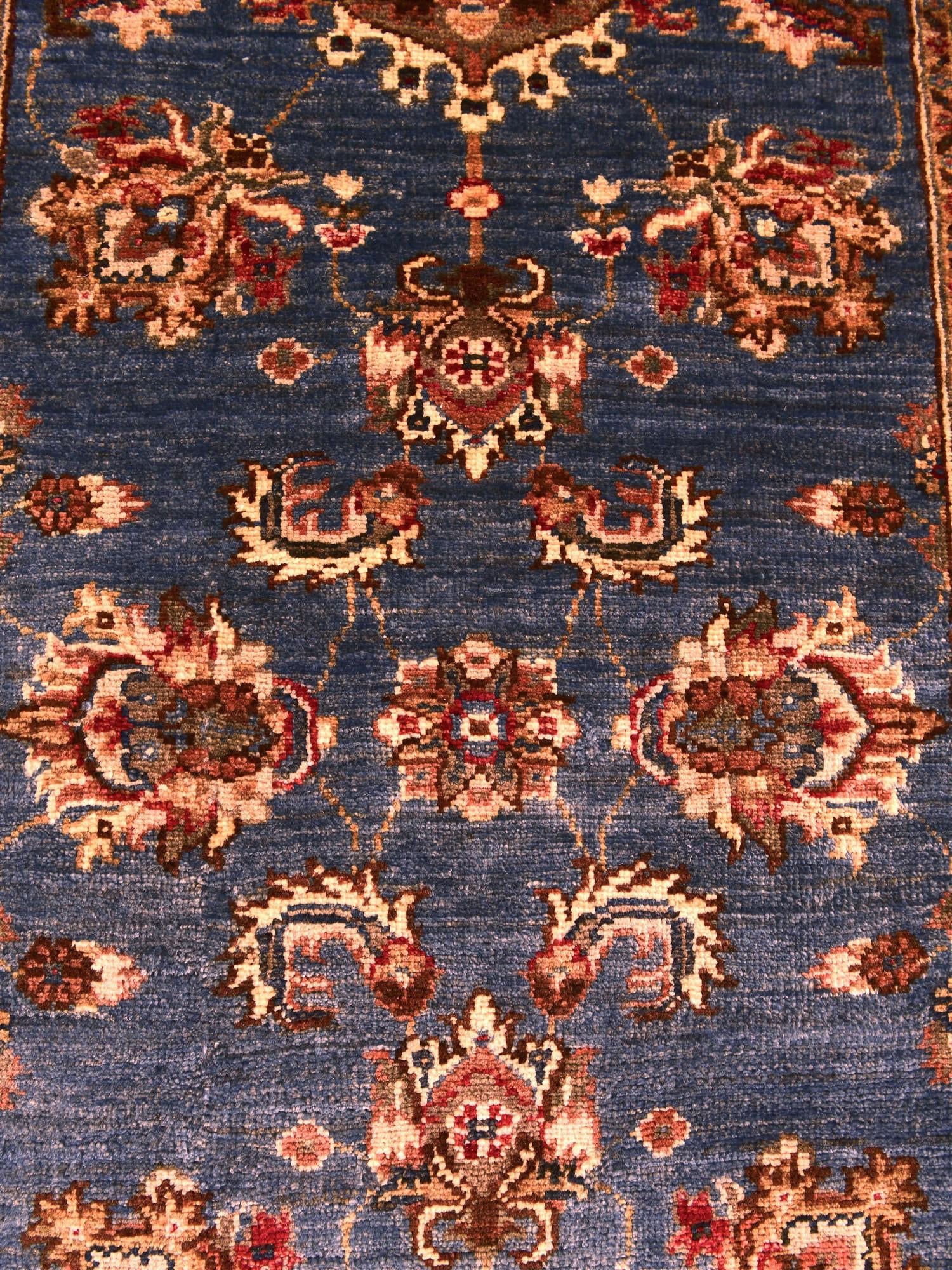 80cm x 310cm Hand Knotted Ariana Ziegler Runner Rug