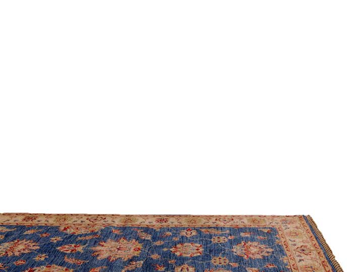 2' 9 x 10' 1 Hand Knotted Ariana Ziegler Runner Rug