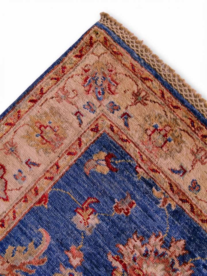 2' 9 x 10' 1 Hand Knotted Ariana Ziegler Runner Rug