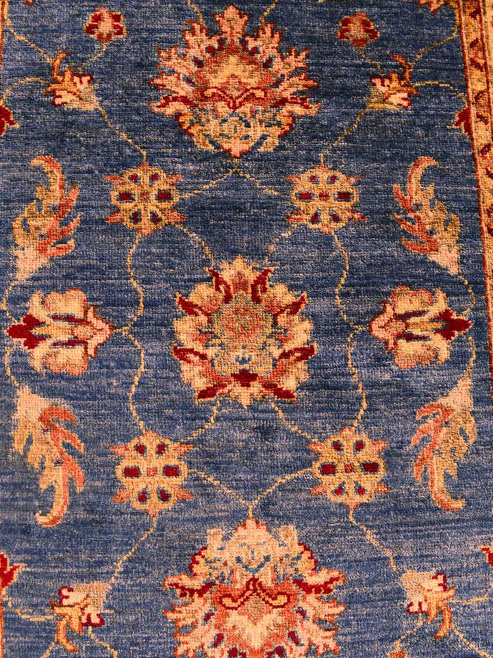 2' 9 x 10' 1 Hand Knotted Ariana Ziegler Runner Rug