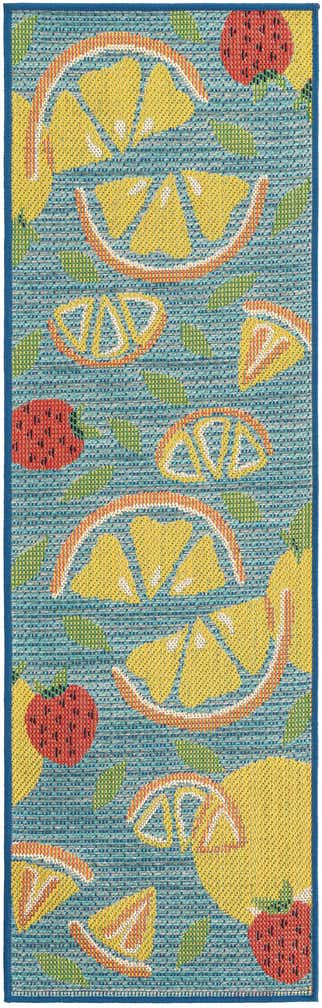 2' x 6' 1 Easy-Clean Baja Indoor / Outdoor Runner Rug