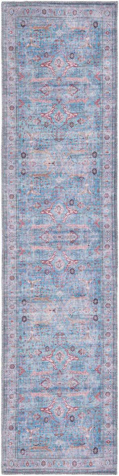 Detail image of 2' x 8' Washable Maahru Runner Rug
