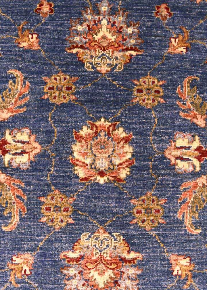 2' 10 x 10' 1 Hand Knotted Peshawar Ziegler Runner Rug