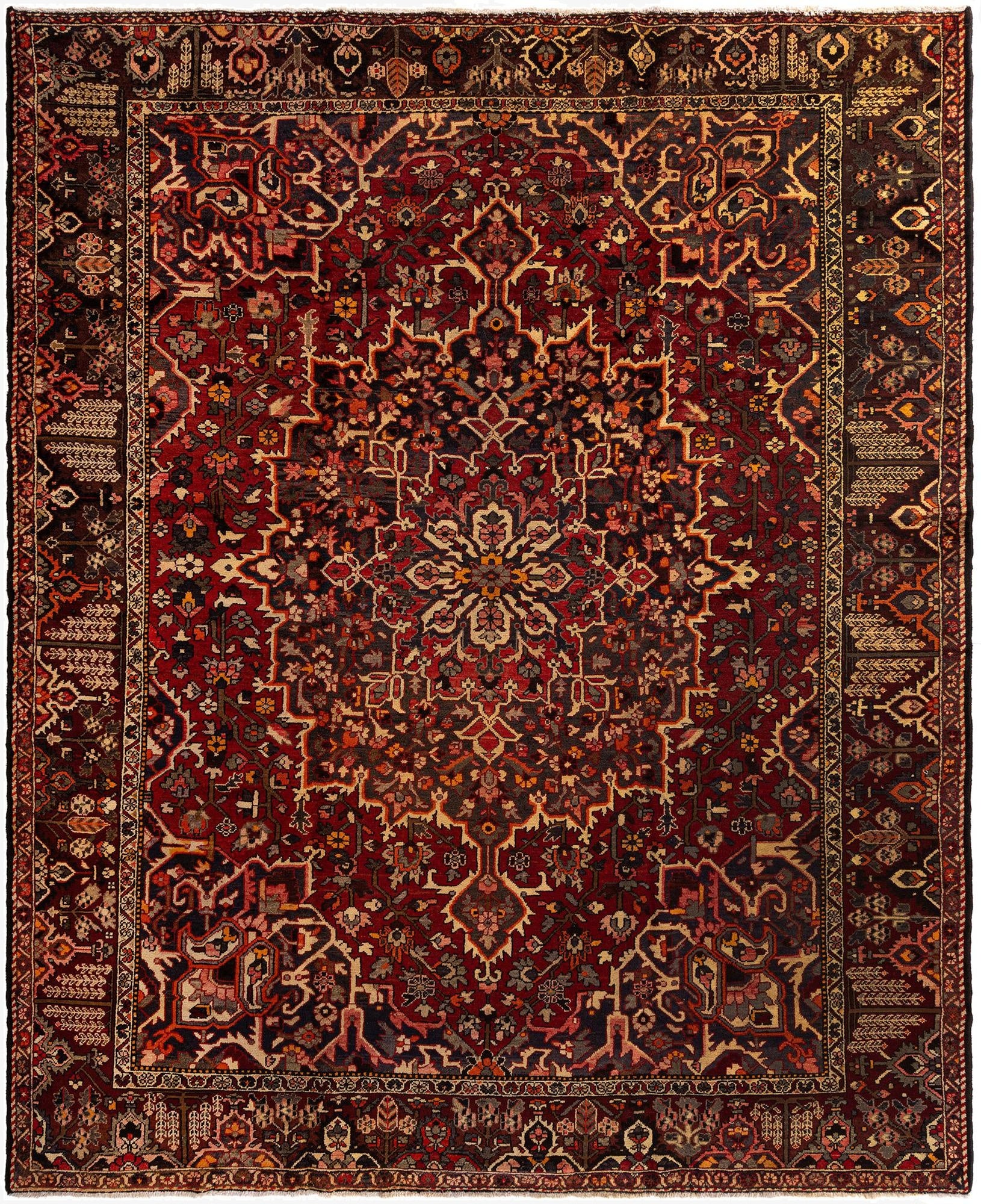 10' x 12' 4 Bachtiar Rug