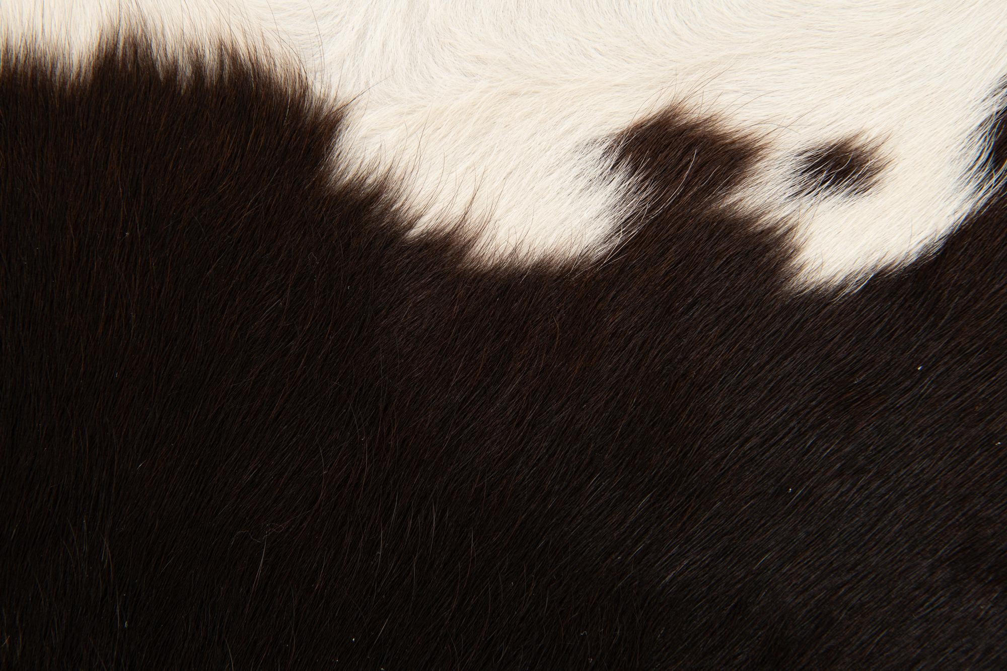2' 1 x 2' 10 Cowhide Leather Rug