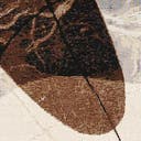 Color variant
