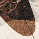 Color variant