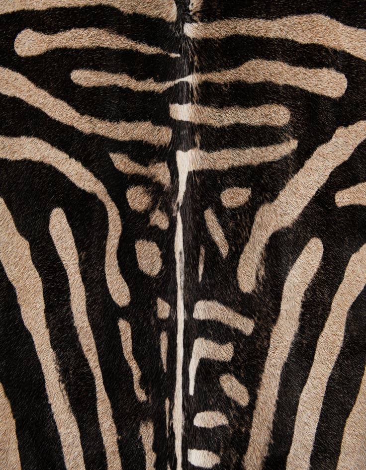 Detail image of 6' x 6' 6 Cowhide Leather Freeform Rug