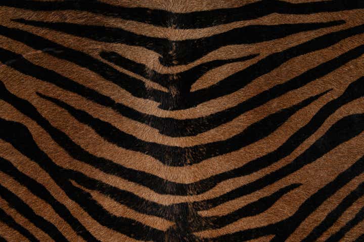 6' 5 x 7' Cowhide Leather Freeform Rug