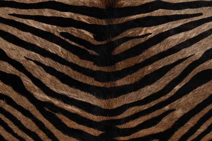 6' 3 x 6' 7 Cowhide Leather Freeform Rug