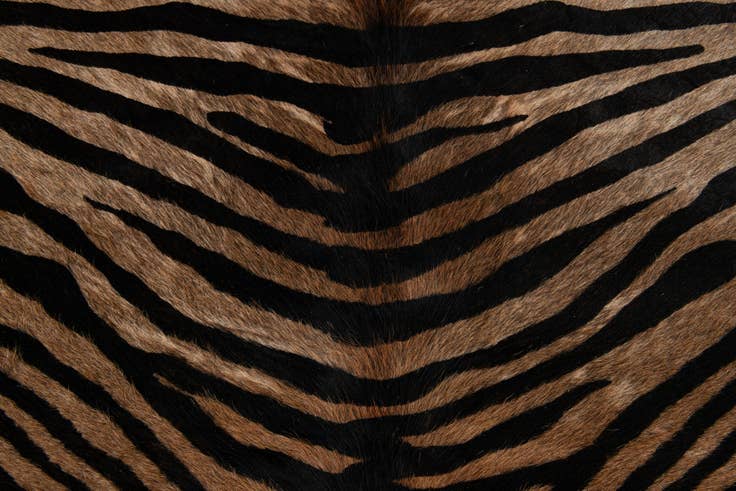 Detail image of 6' 3 x 6' 7 Cowhide Leather Freeform Rug