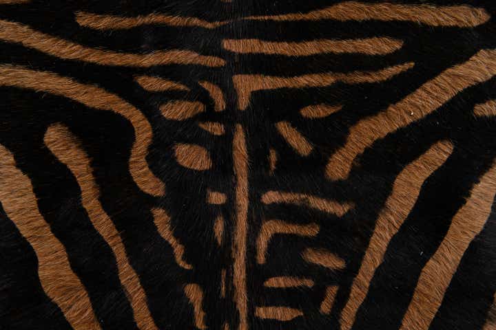 6' 3 x 6' 7 Cowhide Leather Freeform Rug