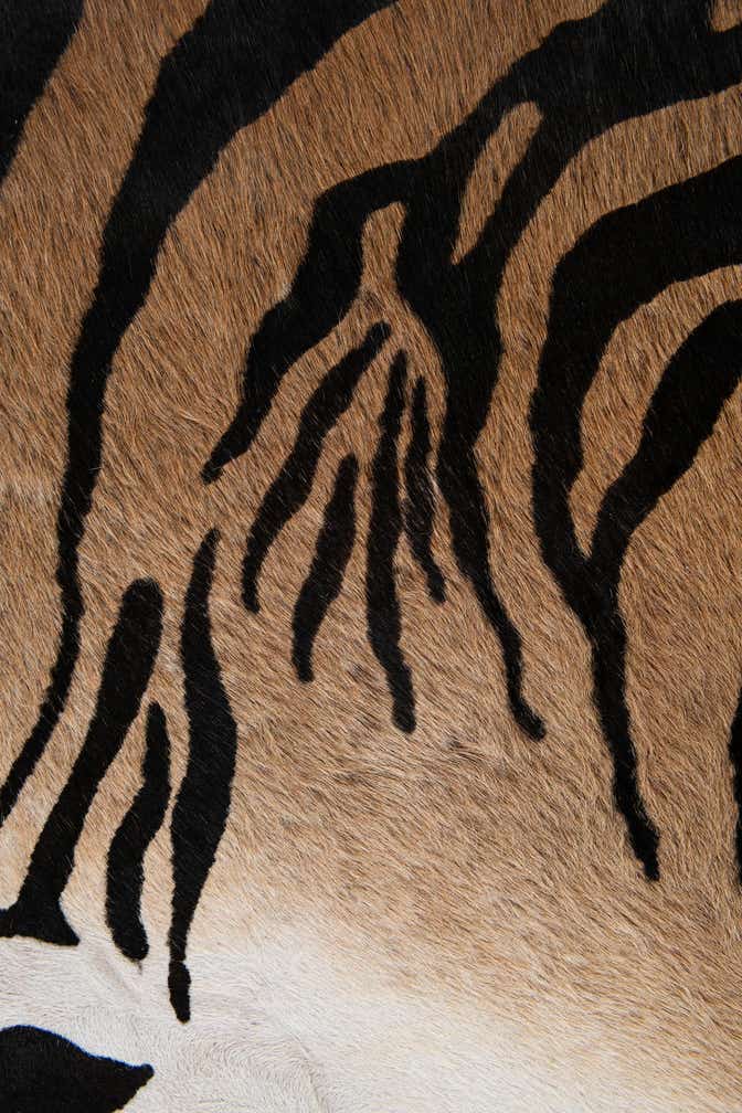 6' 3 x 6' 7 Cowhide Leather Freeform Rug