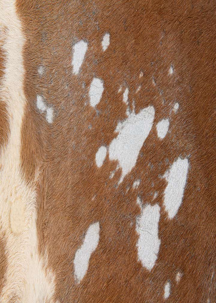 5' 10 x 6' 9 Cowhide Leather Freeform Rug