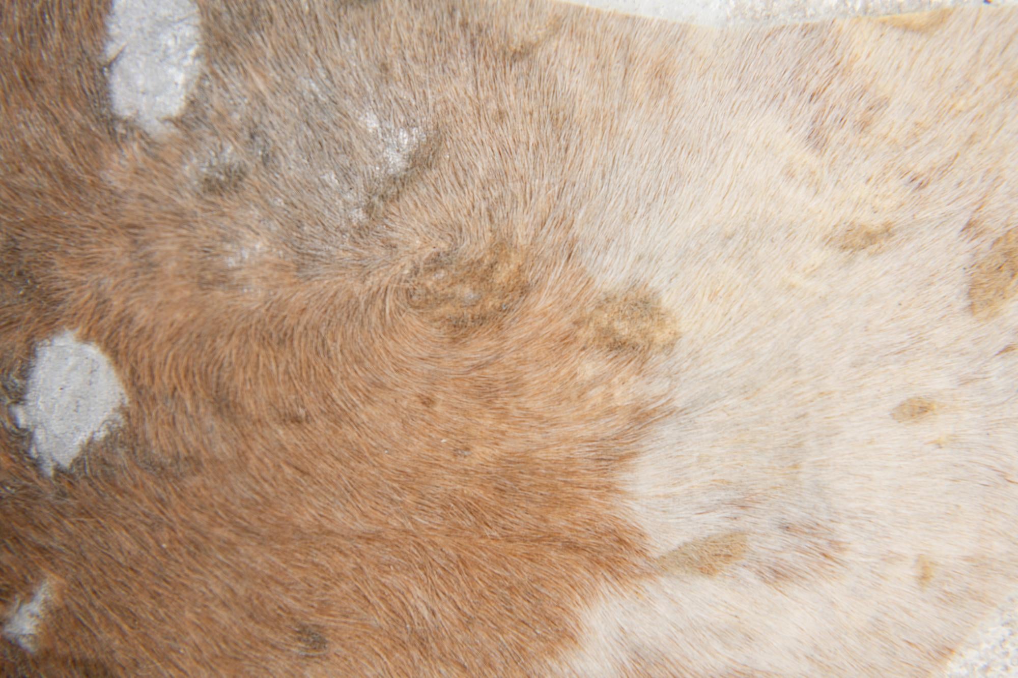 6' 2 x 6' 10 Cowhide Leather Freeform Rug