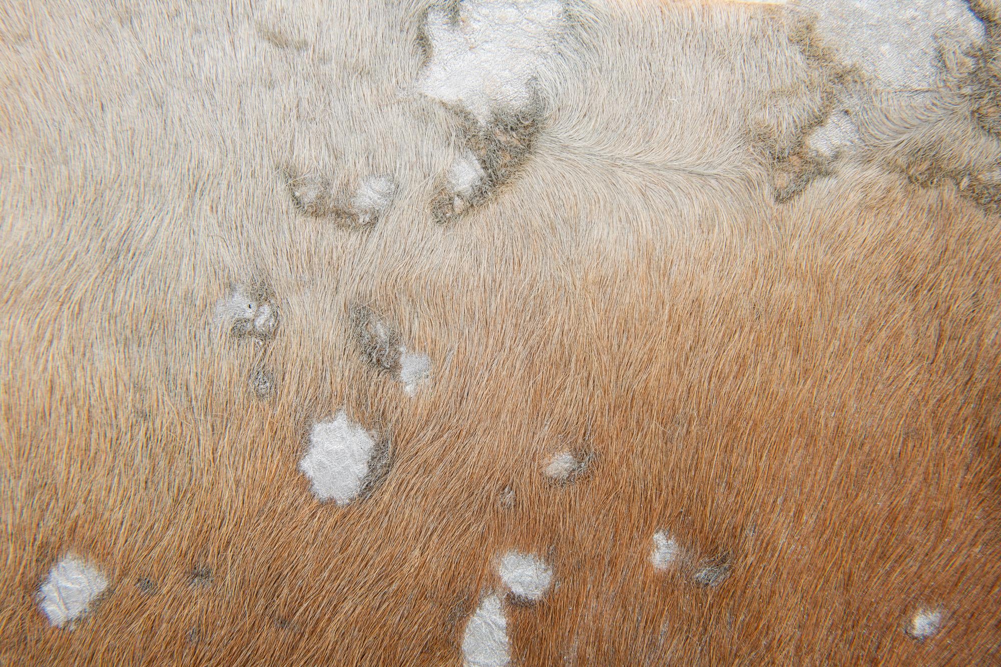 6' 2 x 6' 10 Cowhide Leather Freeform Rug