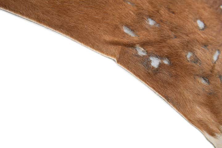 7' x 7' Cowhide Leather Freeform Rug