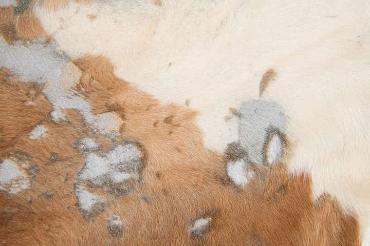 7' x 7' Cowhide Leather Freeform Rug