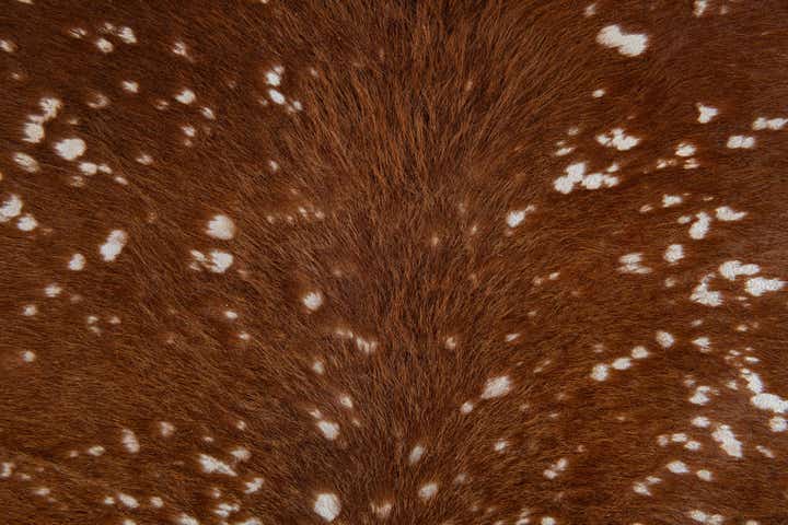 6' 10 x 7' Cowhide Leather Freeform Rug
