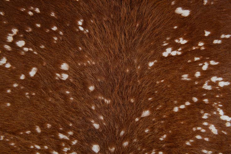 Detail image of 6' 10 x 7' Cowhide Leather Freeform Rug