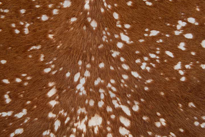 6' 10 x 7' Cowhide Leather Freeform Rug