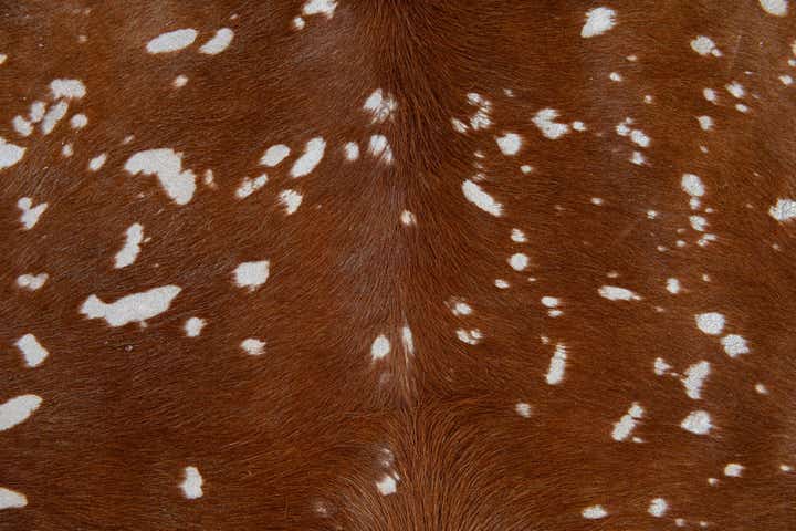 6' 10 x 7' 3 Cowhide Leather Freeform Rug