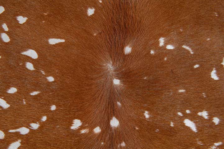 6' 10 x 7' 3 Cowhide Leather Freeform Rug