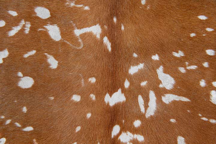 6' 10 x 7' 3 Cowhide Leather Freeform Rug