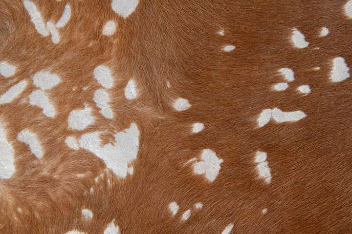 6' 10 x 7' 3 Cowhide Leather Freeform Rug