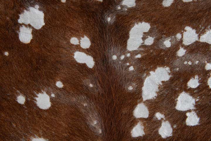 6' 4 x 6' 9 Cowhide Leather Freeform Rug