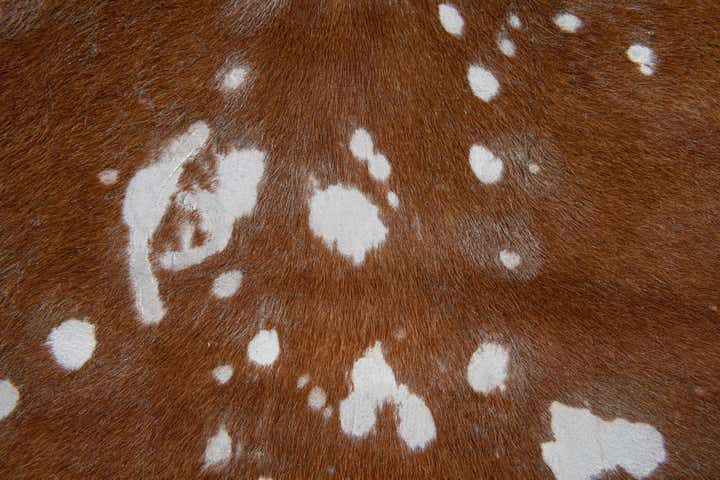 6' 4 x 6' 9 Cowhide Leather Freeform Rug