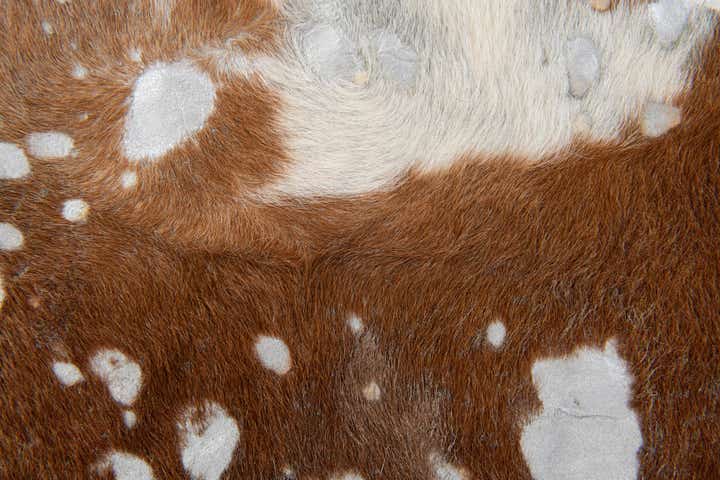 6' 4 x 6' 9 Cowhide Leather Freeform Rug