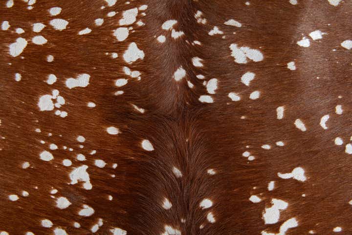 6' x 6' 9 Cowhide Leather Freeform Rug