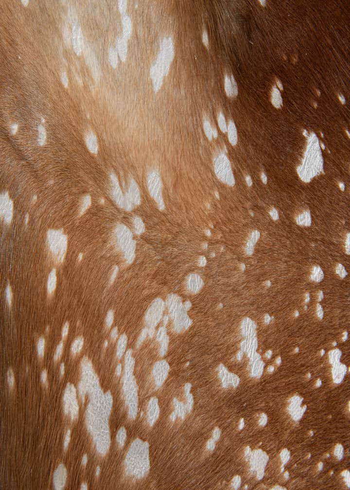6' x 6' 9 Cowhide Leather Freeform Rug