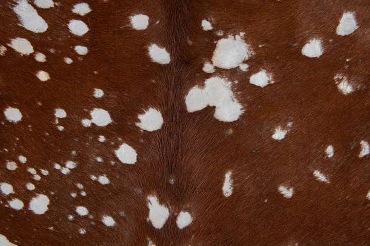 6' 5 x 7' 9 Cowhide Leather Freeform Rug