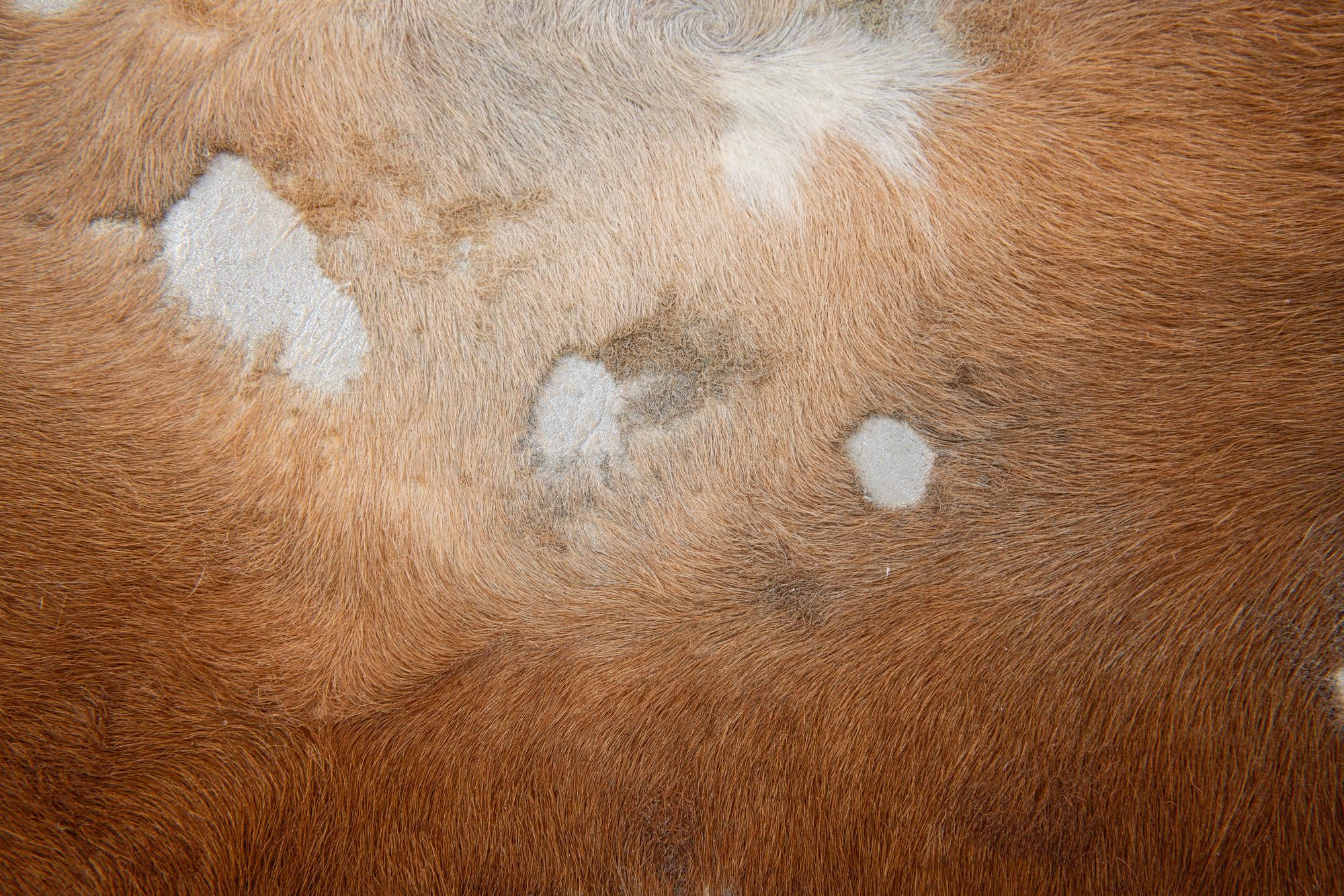 6' 5 x 7' 9 Cowhide Leather Freeform Rug