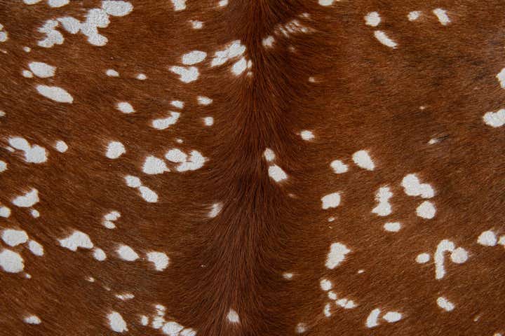 6' 9 x 7' Cowhide Leather Freeform Rug