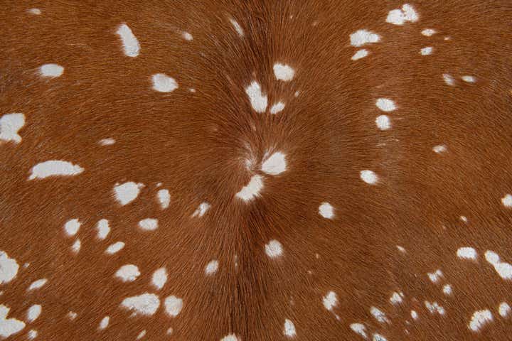 6' 9 x 7' Cowhide Leather Freeform Rug