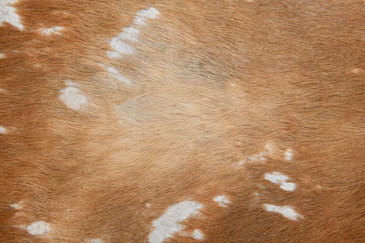 6' 9 x 7' Cowhide Leather Freeform Rug