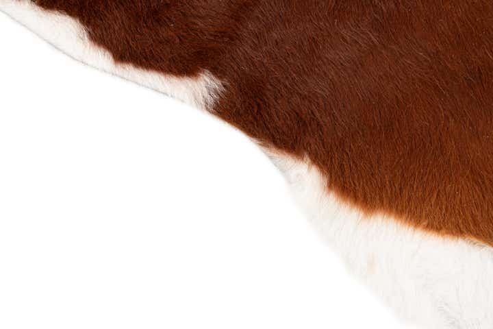 7' x 7' 6 Cowhide Leather Freeform Rug
