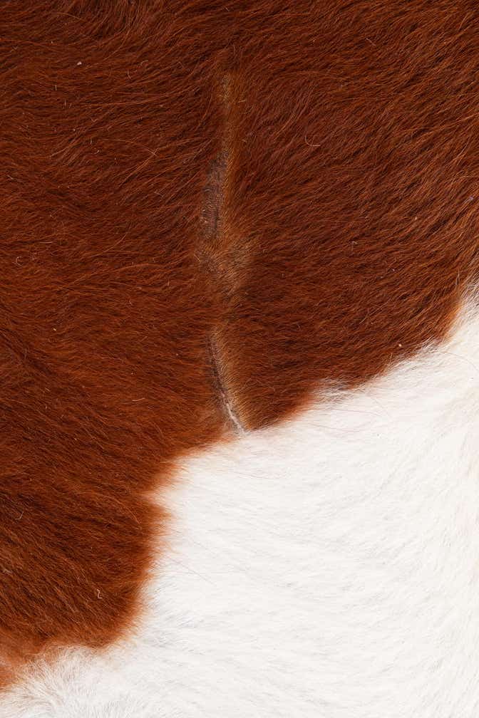 7' x 7' 6 Cowhide Leather Freeform Rug