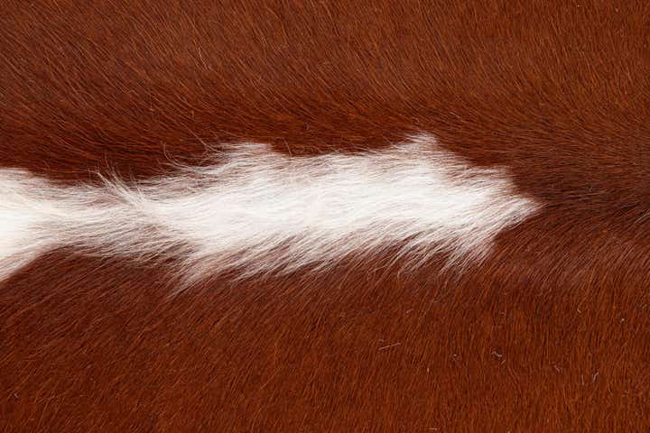 7' x 7' 6 Cowhide Leather Freeform Rug