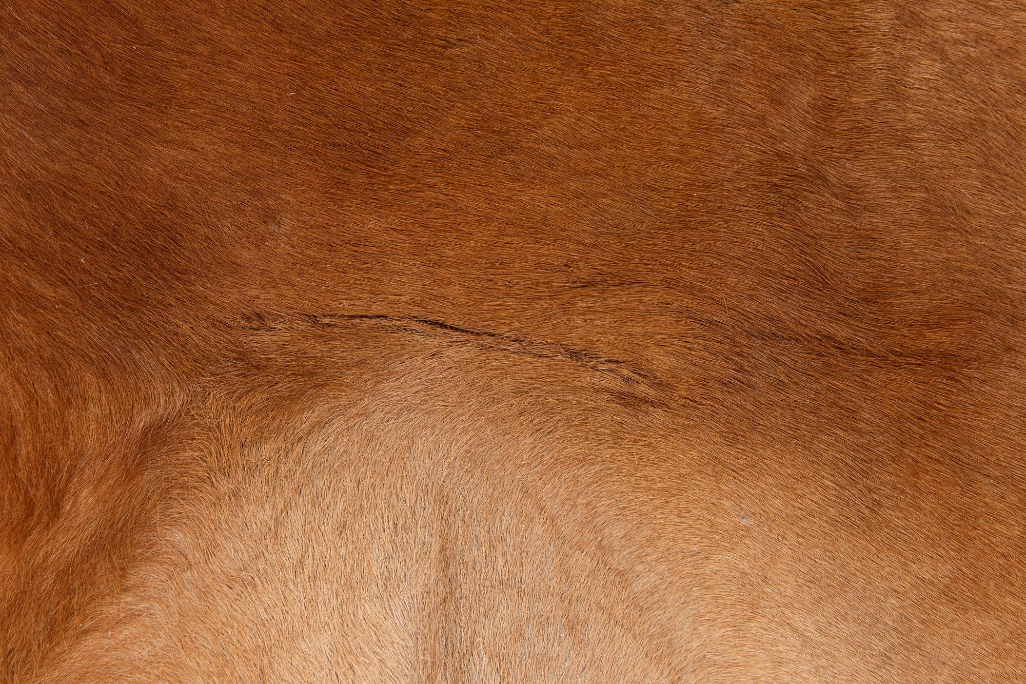 5' 9 x 6' 5 Cowhide Leather Freeform Rug