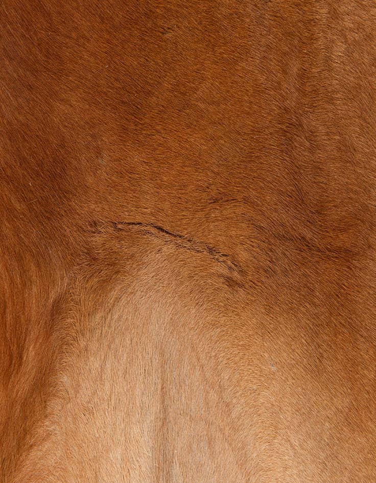 Detail image of 5' 9 x 6' 5 Cowhide Leather Freeform Rug