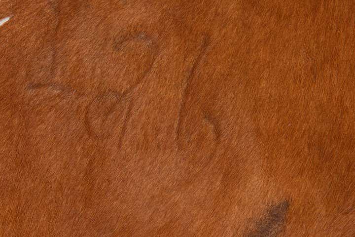 175cm x 195cm Cowhide Leather Alfombra Freeform