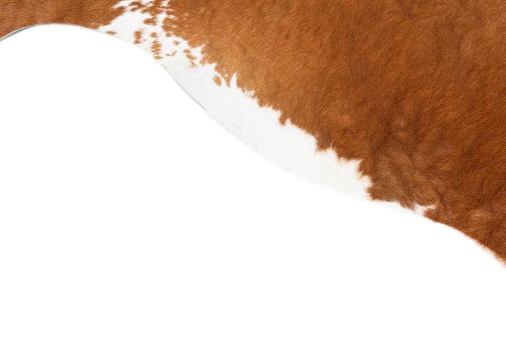 Detail image of 5' 7 x 6' 4 Cowhide Leather Freeform Rug
