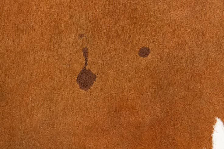 Detail image of 5' 7 x 6' 4 Cowhide Leather Freeform Rug