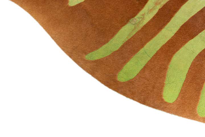 6' 6 x 6' 10 Cowhide Leather Freeform Rug