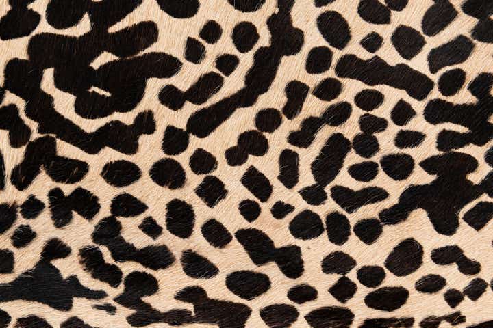 195cm x 205cm Cowhide Leather Alfombra Freeform