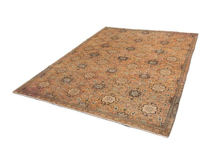 7' 7 x 10' 10 Arak Wool Rug